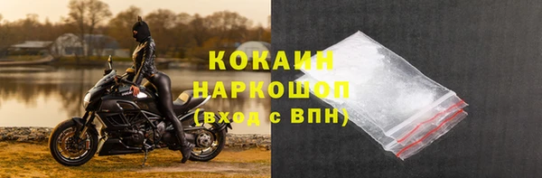 гашик Ельня