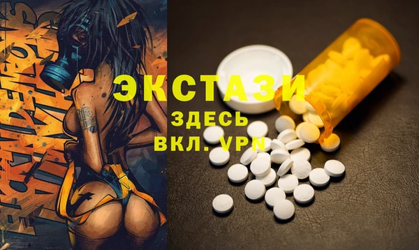 гашик Ельня