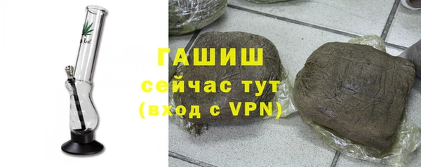гашик Ельня