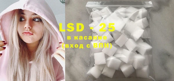 гашик Ельня