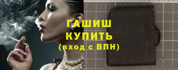 гашик Ельня