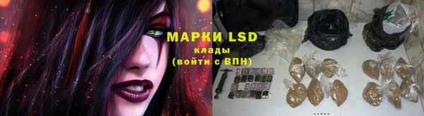 гашик Ельня