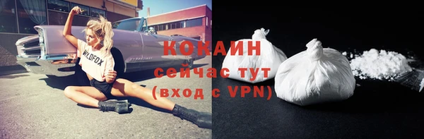 гашик Ельня