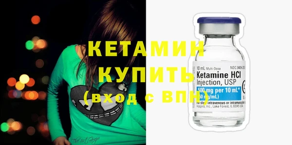 гашик Ельня