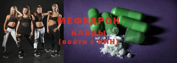 гашик Ельня