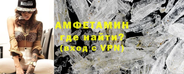 гашик Ельня