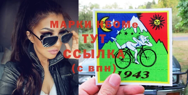 гашик Ельня