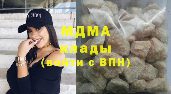 гашик Ельня