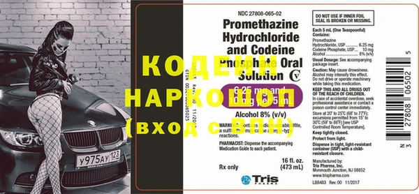 гашик Ельня