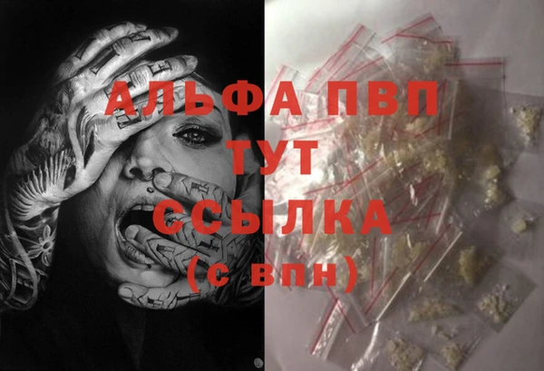 гашик Ельня