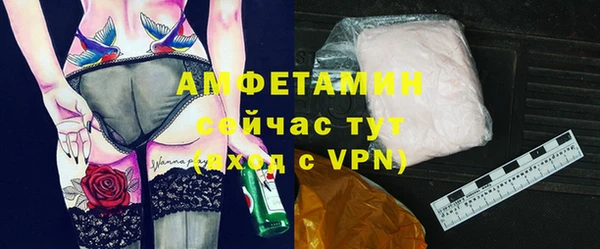 гашик Ельня