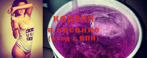 гашик Ельня