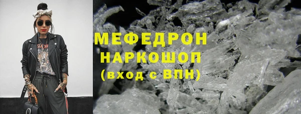 гашик Ельня