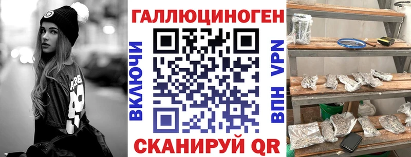 как найти наркотики  Канаш  Псилоцибиновые грибы Magic Shrooms 