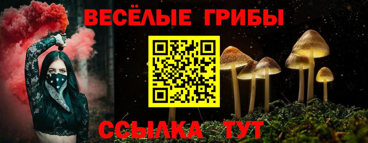 закладки  Галлюциногенные грибы Psilocybine cubensis  Вход с VPN  Канаш 