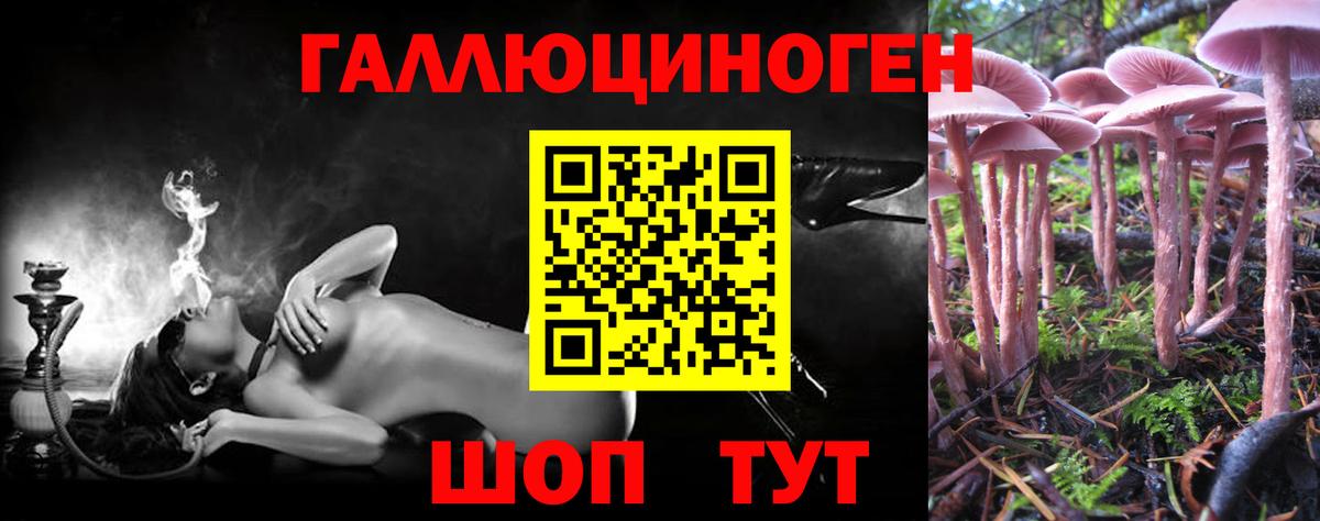 Галлюциногенные грибы Psilocybe Канаш