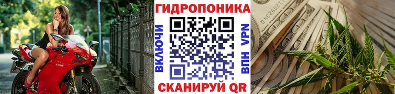 Марихуана White Widow  где купить наркоту  Канаш 
